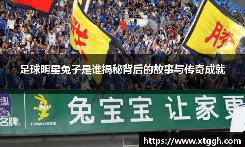 mk体育官网入口