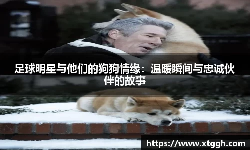 mk体育官网入口