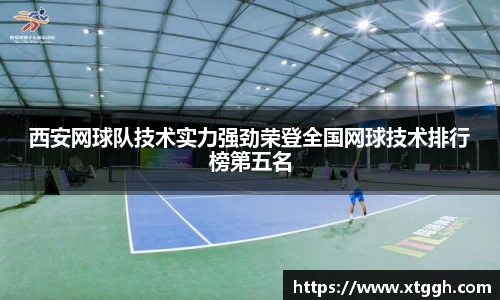 mk体育官网入口